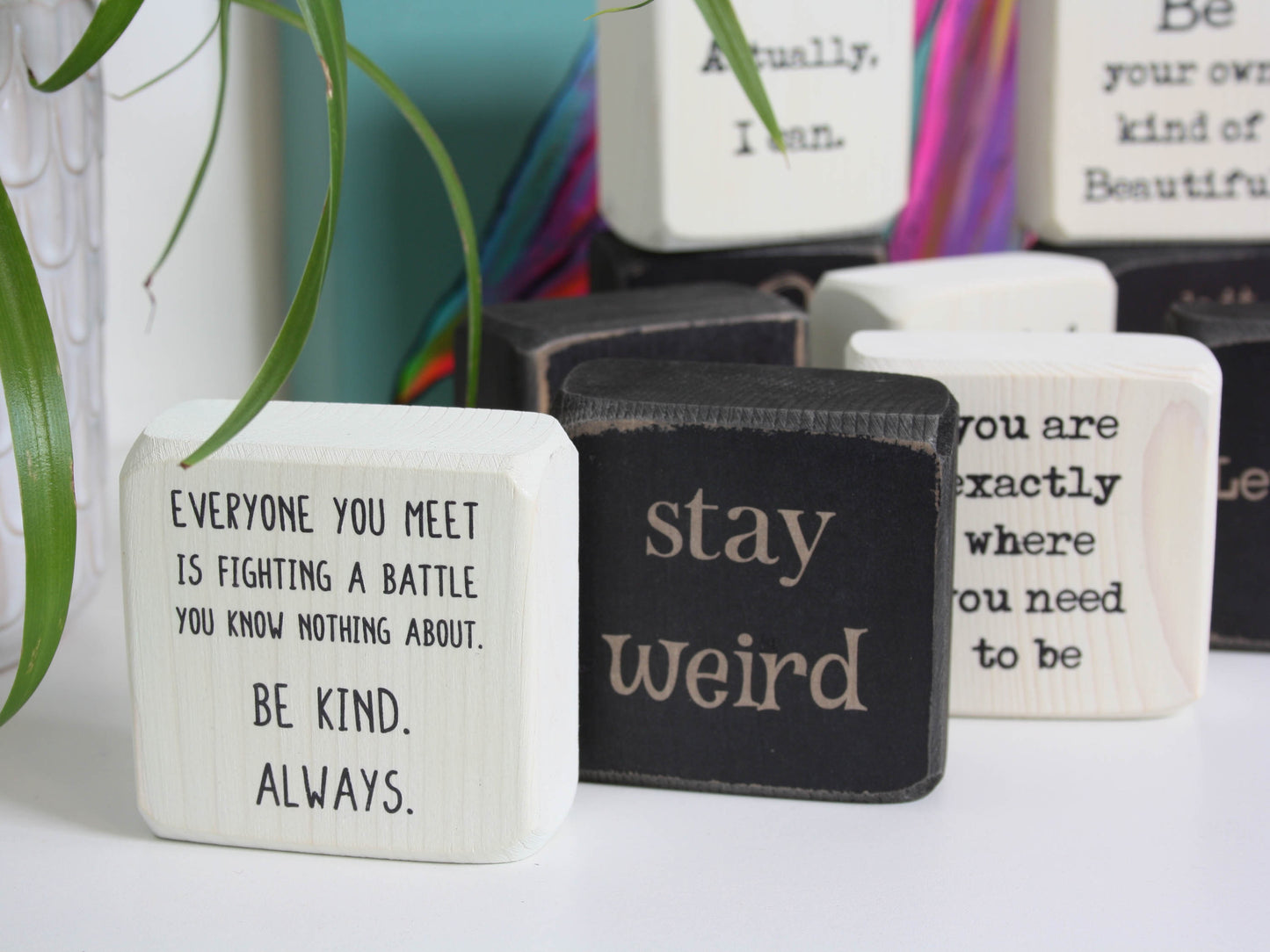 * Curated Pack - Encouragement Dozen - WHOLESALE