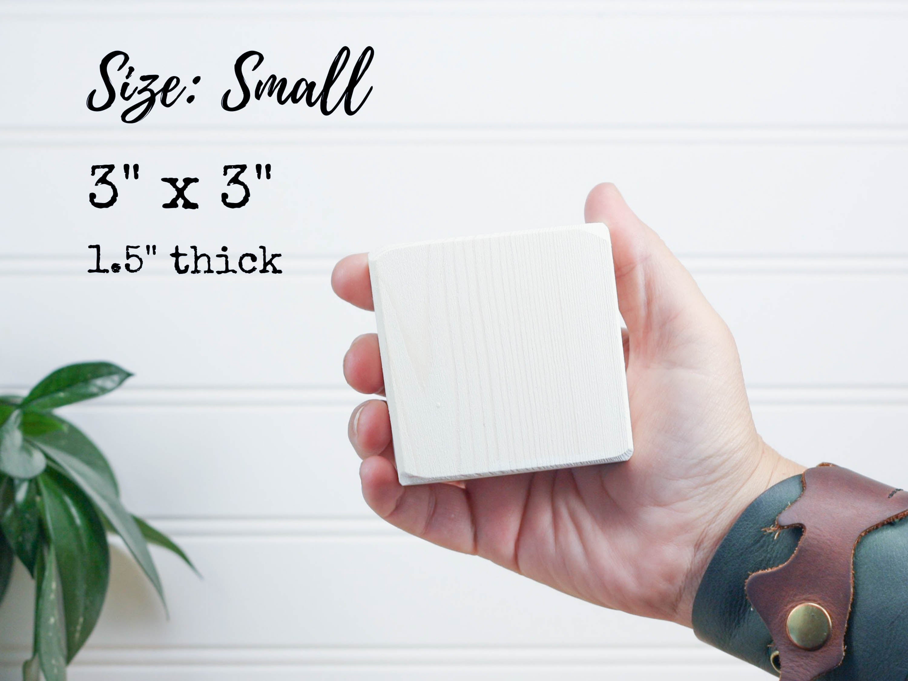 Sizing photo for 3 x 3 inch small sign showing the sign in a hand.