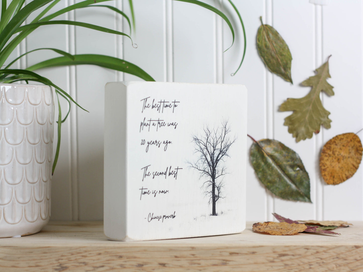 Block sign in white with photo of a tree without leaves and the saying "The best time to plant a tree was 20 years ago. The second best time is now."