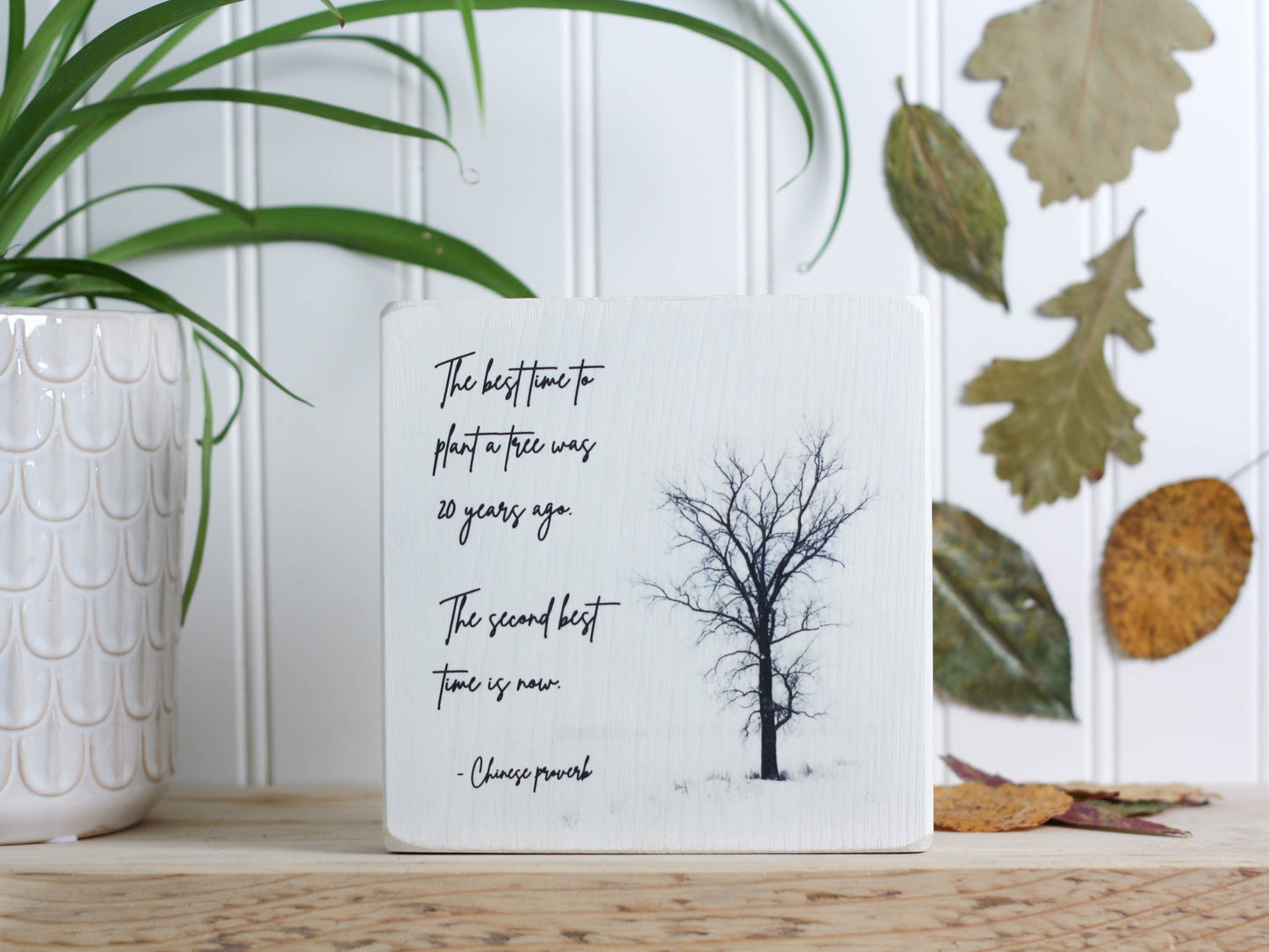 Block sign in white with photo of a tree without leaves and the saying "The best time to plant a tree was 20 years ago. The second best time is now."