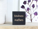 small distressed black sign with the text "kindness matters"