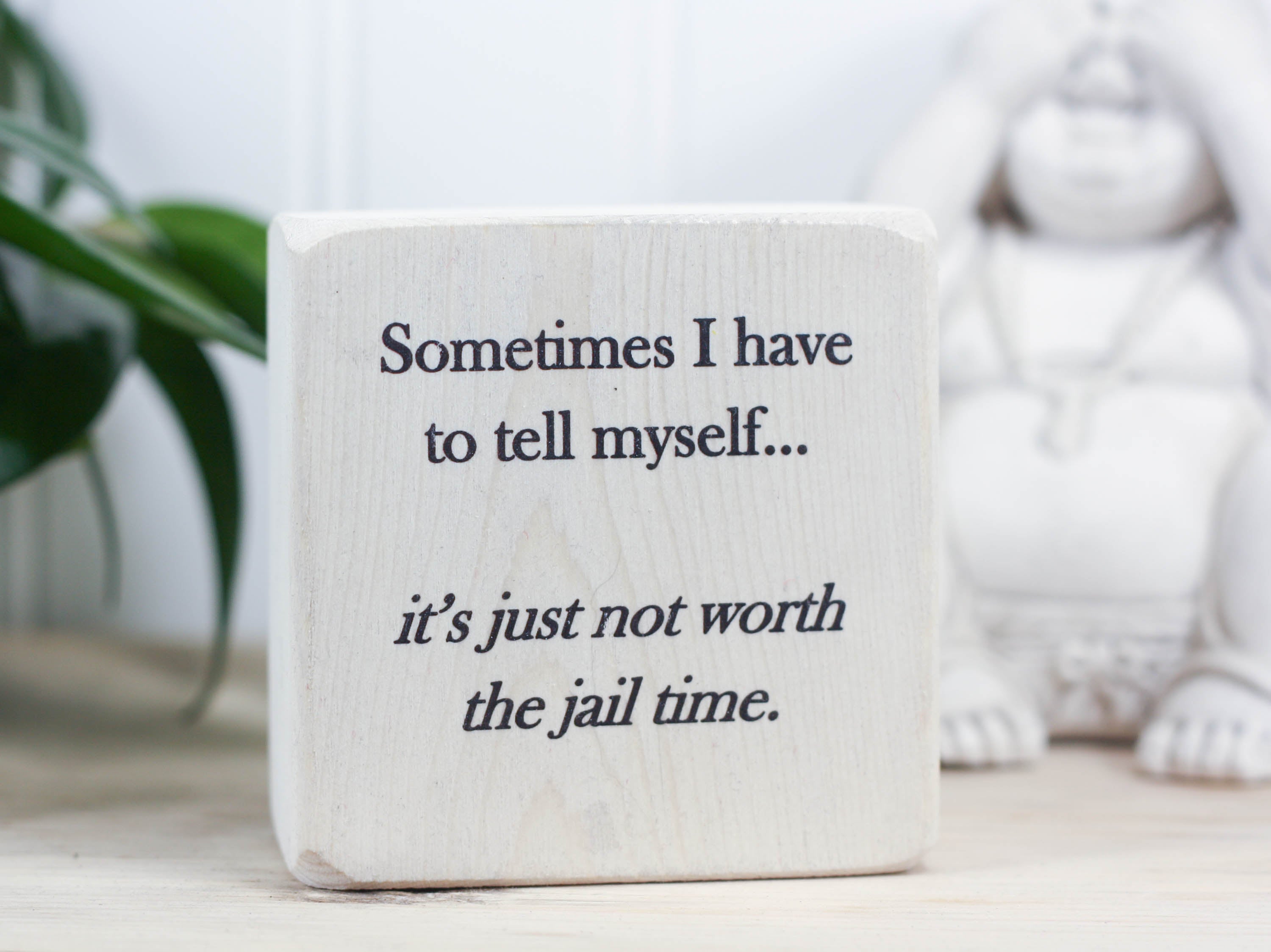 Funny small wood sign in whitewash with the saying "Sometimes I have to tell myself... it's just not worth the jail time."