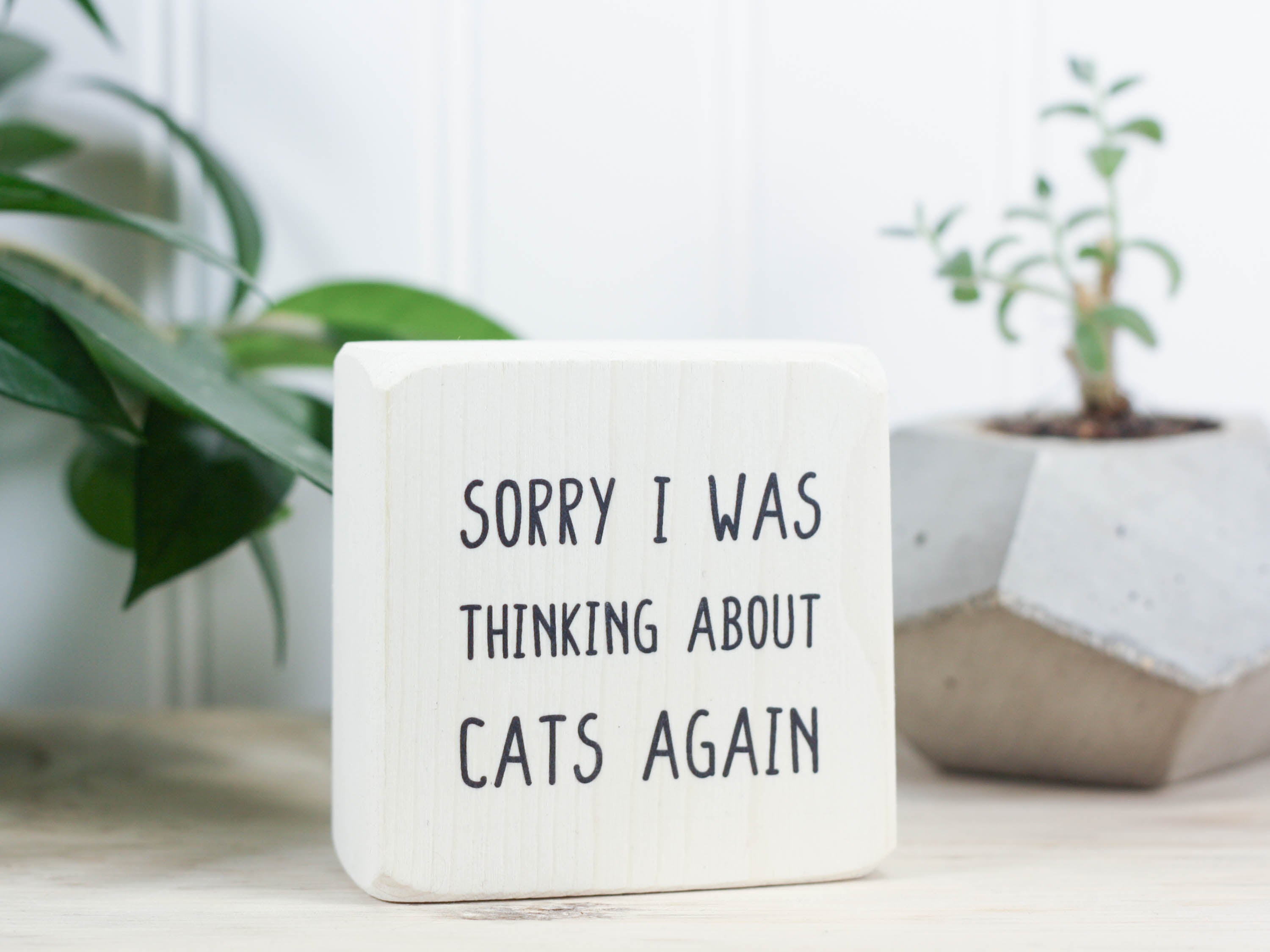 Mini wood sign in whitewash with the saying "Sorry I was thinking about cats again".