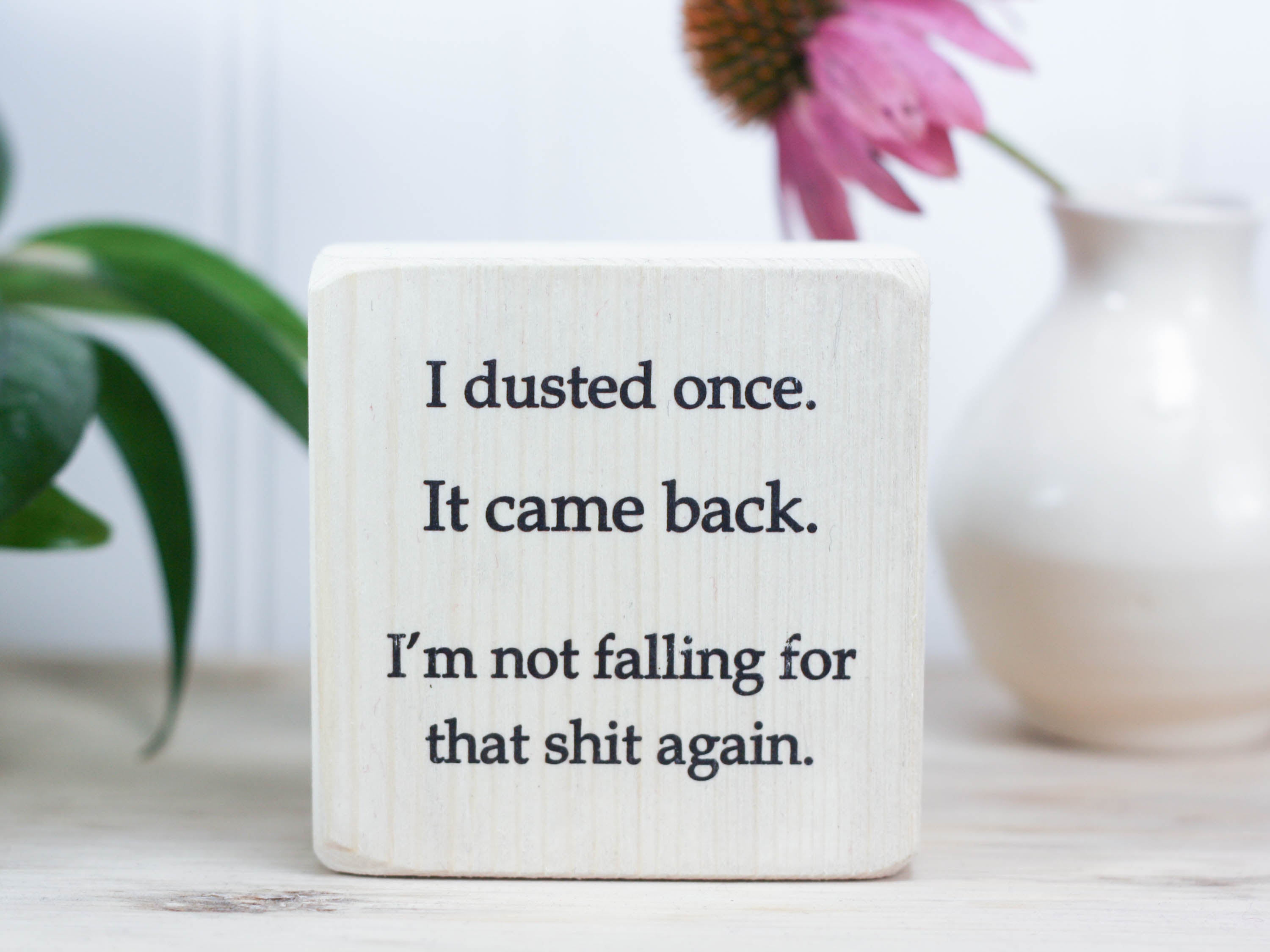 Small, freestanding, whitewash, solid wood sign with a funny saying on it "I dusted once. It came back. I'm not falling for that shit again."