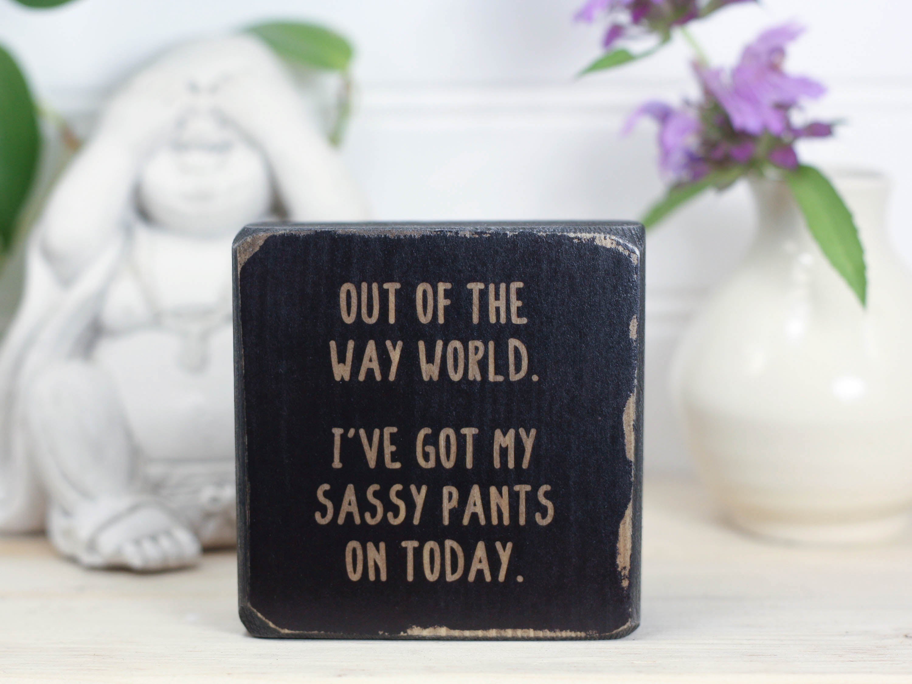 Small Wooden Sign - Sassy pants – Daisy Thirteen