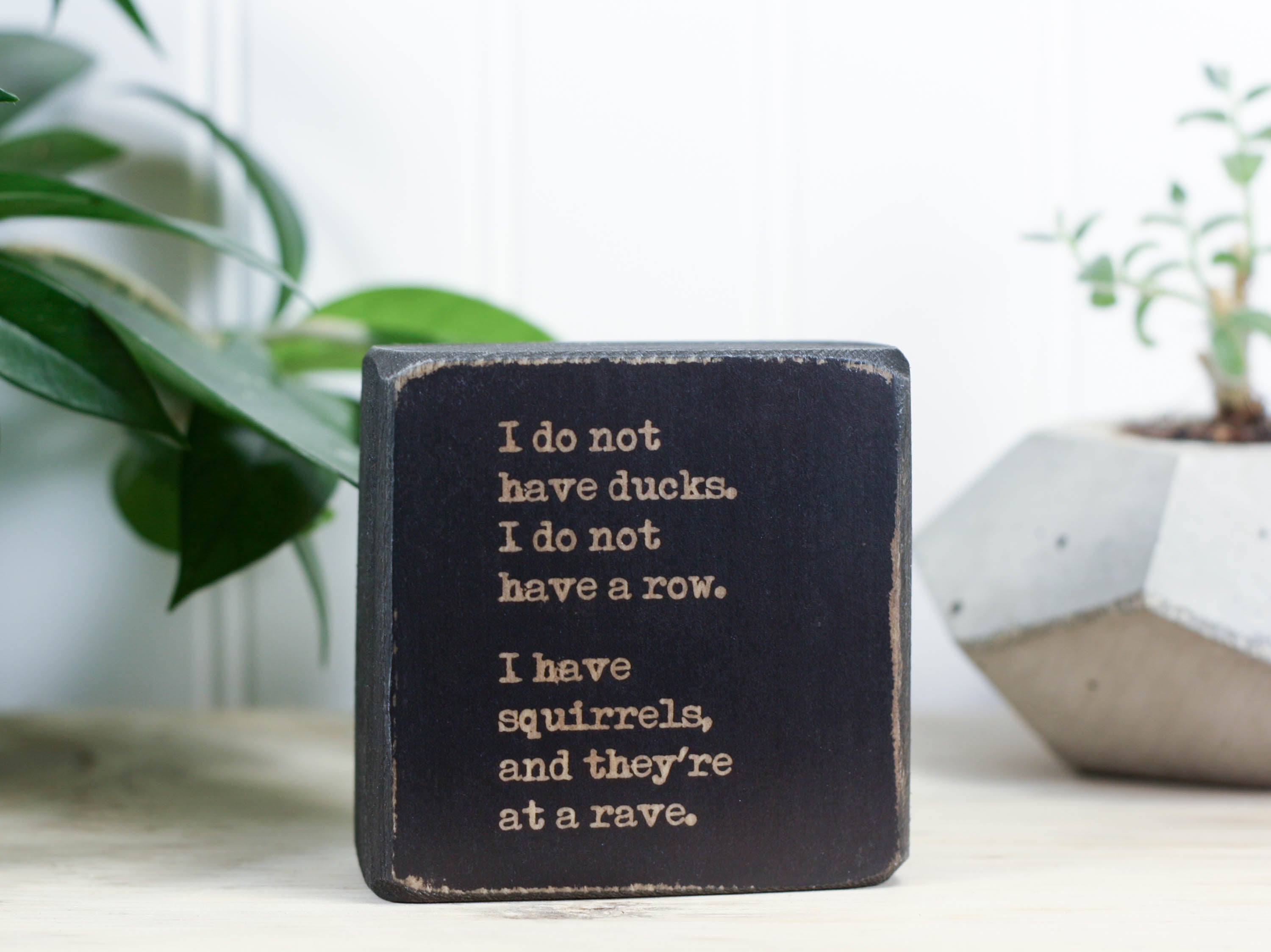 Small, freestanding, distressed black, solid wood sign with a funny saying on it "I do not have ducks. I do not have a row. I have squirrels, and they're at a rave."